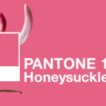 Hello, Honeysuckle! Our Top Picks in Pantone’s Rosy 2011 Hue