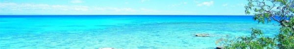 Lizard Island, losing nominee gift bag