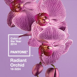 Makeover Your Makeup With Pantone’s Color of 2014: Radiant Orchid
