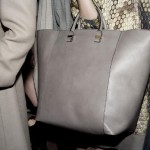 Save Steal Splurge: The Grey Bag