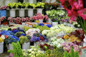L.A. Flower Market